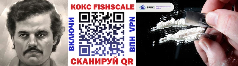 ссылка на мегу ONION  Михайлов  Cocaine Fish Scale  где купить наркотик 
