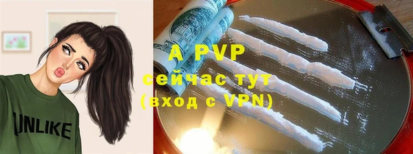 эйфоретик Иннополис