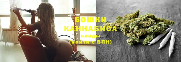 прущие грибы Инсар