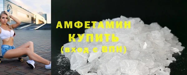 прущие грибы Инсар