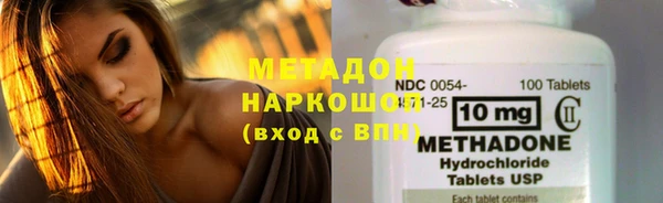 прущие грибы Инсар