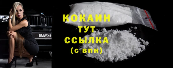 прущие грибы Инсар