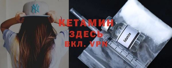 прущие грибы Инсар