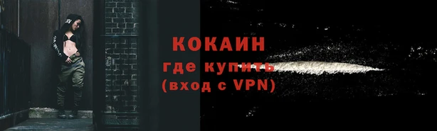 мдпв Лабытнанги