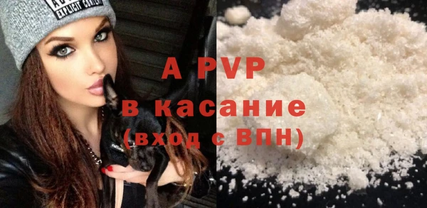 прущие грибы Инсар