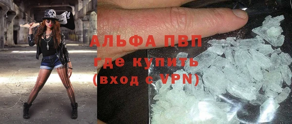 прущие грибы Инсар