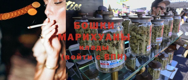 прущие грибы Инсар