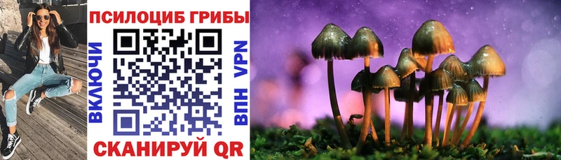 Псилоцибиновые грибы мухоморы  Михайлов 